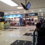 Photo of Colin's