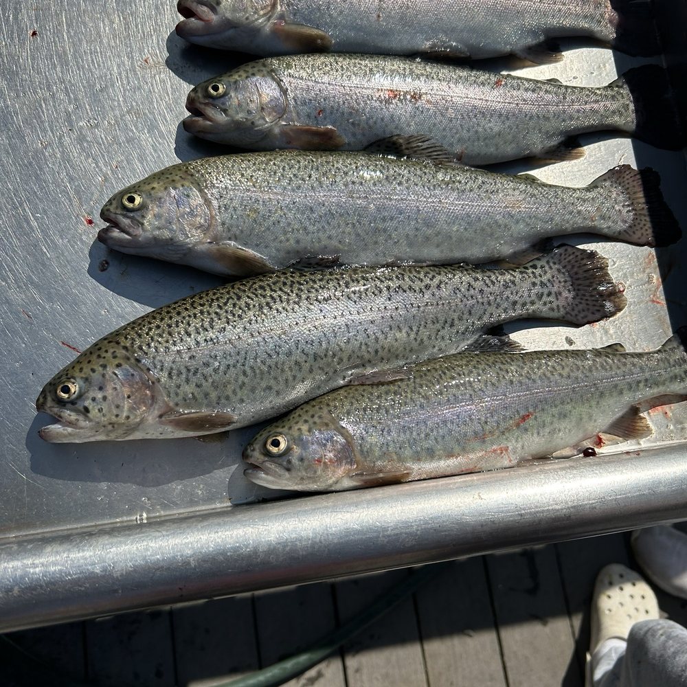 Center Point Pond - Trout - Nurseries & Gardening Near Me - Worcester, Pennsylvania Center Point Pond - Trout - Nurseries & Gardening Near Me - Worcester, Pennsylvania