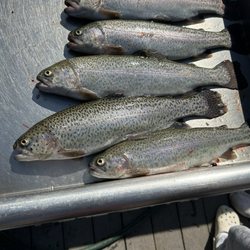 Center Point Pond - Trout