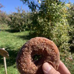 Riiska Brook Orchard - Oder donut