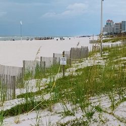 Cotton Bayou- A Gulf State Park beach area - Purple & Yellow Flags flying at the beach  09-09-2024
