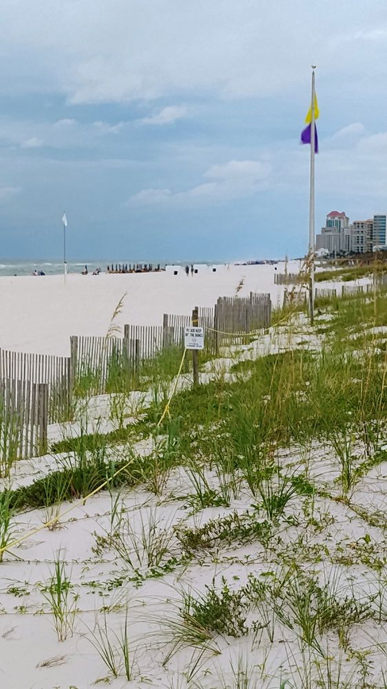 Cotton Bayou- A Gulf State Park beach area Image