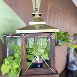Root to Rise Yoga