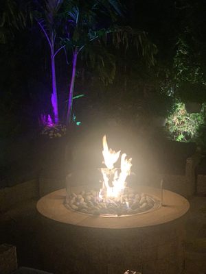 King Umberto by null