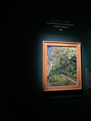 Revoltella Museum by null