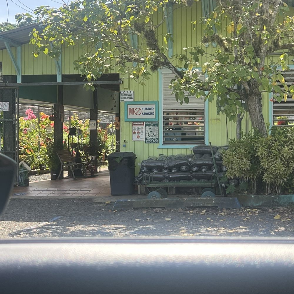 Jardines Eneida - Enteance - Nurseries & Gardening Near Me - Cabo Rojo, Puerto Rico