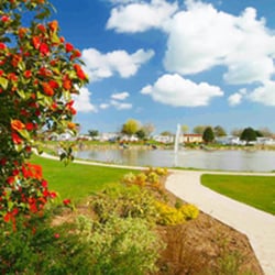 Patrington Haven Caravan Park - Fishing Lake