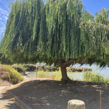 Alvarez Ninth Street Park - Parks Near Me - Benicia, California Alvarez Ninth Street Park - Parks Near Me - Benicia, California