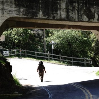 Alum Rock Park - Penitencia Creek Road - Parks Near Me - San Jose, California