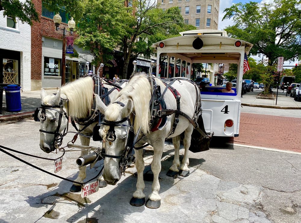 Horse Drawn-Carriage Rides