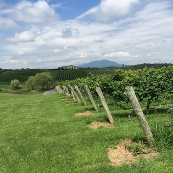 CrossKeys Vineyards - Enjoying the beautiful scenery - Wineries Near Me - Mount Crawford, Virginia