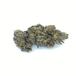 Chronic Connect - Sherblato
