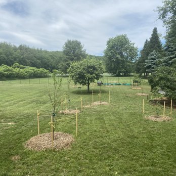 Elite Landscape Solutions - Small orchard planting per customer layout/mowing and trimming. - Landscaping Near Me - Claremont, New Hampshire Elite Landscape Solutions - Small orchard planting per customer layout/mowing and trimming. - Landscaping Near Me - Claremont, New Hampshire