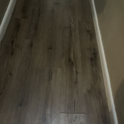 Odd Ape - This shows the hallway and 2 of the 4 planks separating
