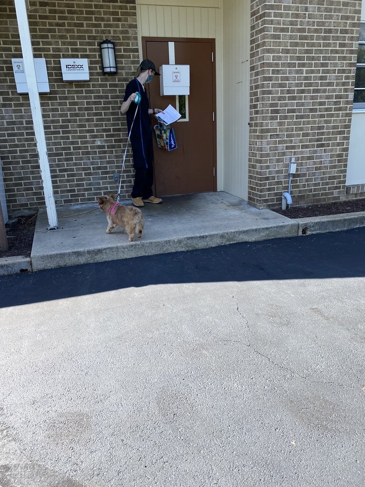 BELAIR VETERINARY HOSPITAL 22 Reviews Veterinarians 15511 Hall Rd