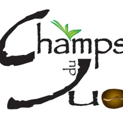 Champs du sud