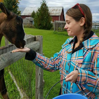 Plum Loco Animal Farm - Making friends and feeding with a flat hand! - Amusement Parks Near Me - Egg Harbor, Wisconsin Plum Loco Animal Farm - Making friends and feeding with a flat hand! - Amusement Parks Near Me - Egg Harbor, Wisconsin