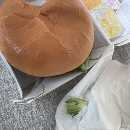 My meal with a dead insect on my lettuce leaf My meal with a dead insect on my lettuce leaf