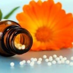 Divine Monkey Homeopathy