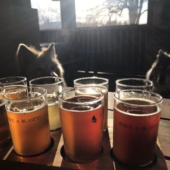 Blasty Bough Brewing - Flights and dogs, what could be better? - Breweries Near Me - Epsom, New Hampshire