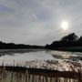 Carmans River Nature Trail and Canoe Launch