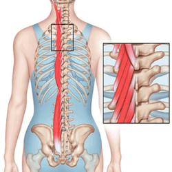 Nick Yoon Physical Therapy Pc - We will update more pictures for our staffs, doctors and location soon.