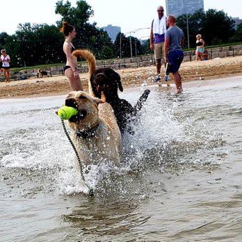 Montrose Dog Beach - Dog Parks Near Me - Chicago, Illinois