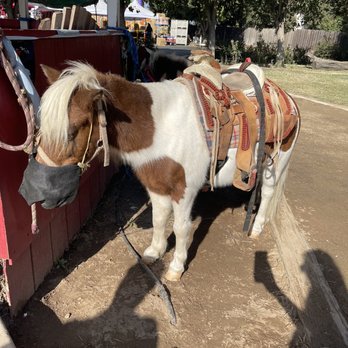Resendiz Family Fruit Barn - Pony rides pumpkin patch - Bakeries Near Me - Hughson, California Resendiz Family Fruit Barn - Pony rides pumpkin patch - Bakeries Near Me - Hughson, California