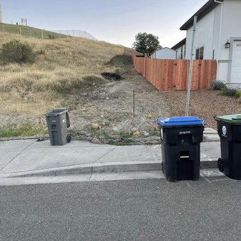 Fern's Junk Removal & More - two trash cans on the side of the road - Landscaping Near Me
