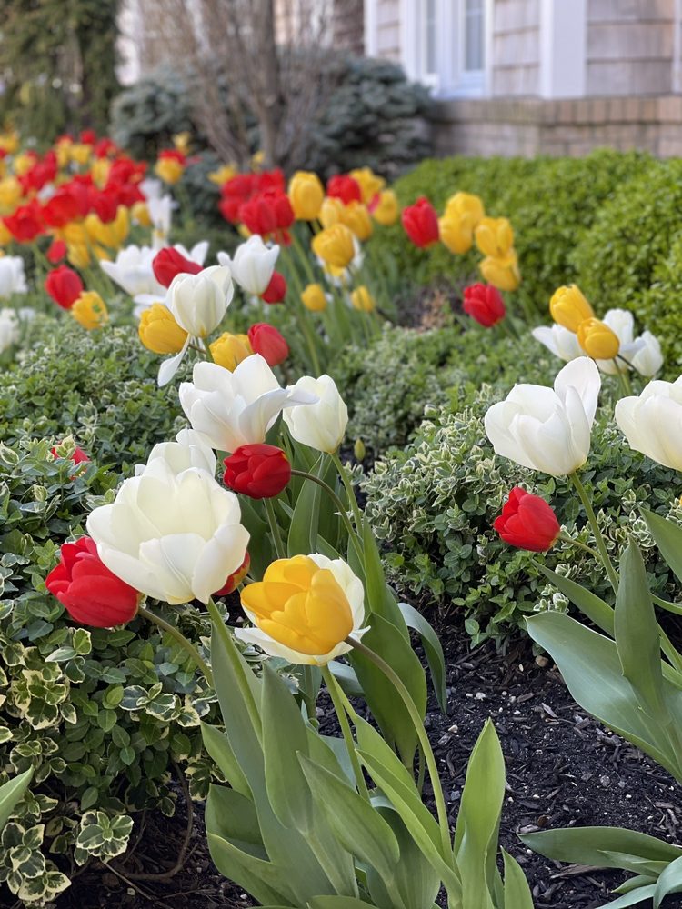 MASSAPEQUA FUNERAL HOMES Updated September 2024 4980 Merrick Rd