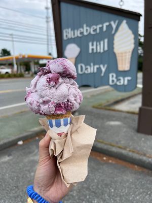 Blueberry Hill Dairy Bar by null