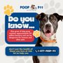 POOP 911