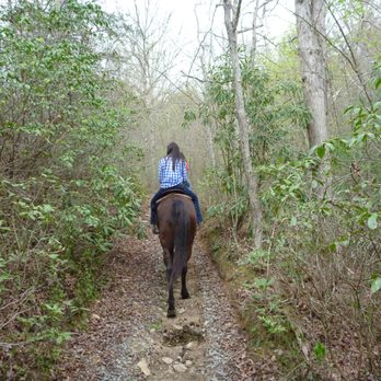 Blanche Manor - Horseback Riding Near Me - Copperhill, Tennessee Blanche Manor - Horseback Riding Near Me - Copperhill, Tennessee