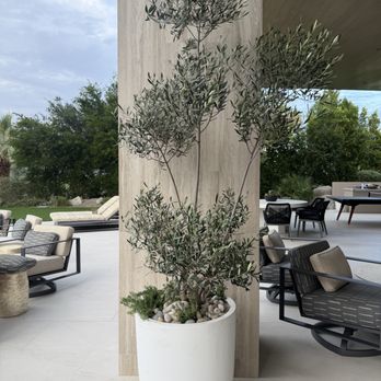 The Potted Gardens - Large Fiber Cement Vase in White - Nurseries & Gardening Near Me - Seattle, Washington The Potted Gardens - Large Fiber Cement Vase in White - Nurseries & Gardening Near Me - Seattle, Washington