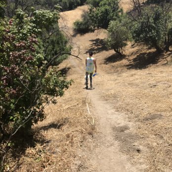 Deervale-Stone Canyon Park - Hiking Near Me - Los Angeles, California