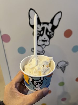 Molly Moon's Homemade Ice Cream Bellevue by null