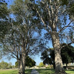 Twila Reid Park - Take a walk