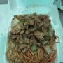 Photo of Chinatown Express