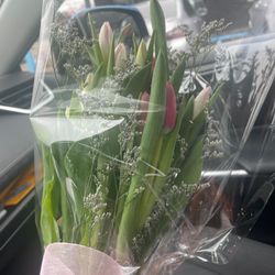Forget Me Not Florist - Tulips