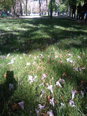 100. Yıl Atatürk Kültür Parkı by null