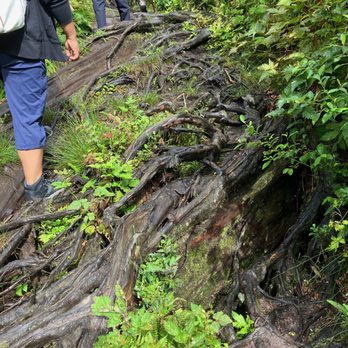 Kennedy Falls - Terrain - August 2026. - Hiking Near Me - North Vancouver, British Columbia Kennedy Falls - Terrain - August 2026. - Hiking Near Me - North Vancouver, British Columbia