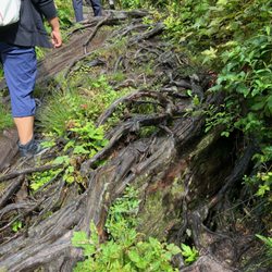 Kennedy Falls - Terrain - August 2026.