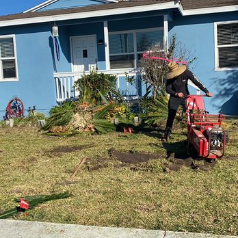 GN Landscape - Clean-Up - Tree Services Near Me GN Landscape - Clean-Up - Tree Services Near Me