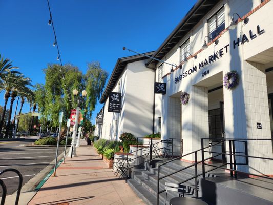 Sushi Rolland | Japanese Restaurant by null