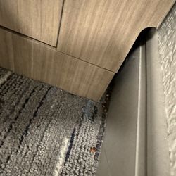 Holiday Inn Express & Suites Kimball - Dead LadyBugs