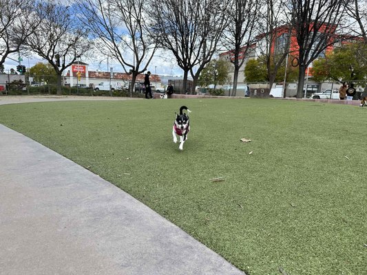 Reed Street Dog Park by null