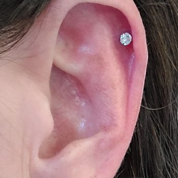 Studio 54 Tattoo - You get an after-care pack with every piercing. :-) - Tattoo Near Me - Lutz, Florida Studio 54 Tattoo - You get an after-care pack with every piercing. :-) - Tattoo Near Me - Lutz, Florida
