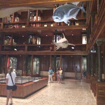 Bishop Museum - Museums Near Me - Honolulu, Hawaii