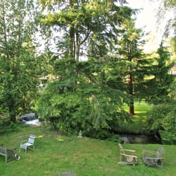The World of Meditation - Our "back yard"!