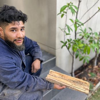 Protech Pest Control - Termites - Pest Control Near Me - Campbellfield, VIC Protech Pest Control - Termites - Pest Control Near Me - Campbellfield, VIC